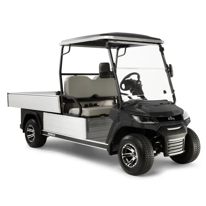 2024 Electric Utility Golf Cart with Lithium Battery