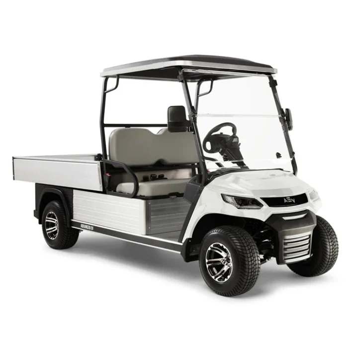 2024 Electric Utility Golf Cart with Lithium Battery - Image 4